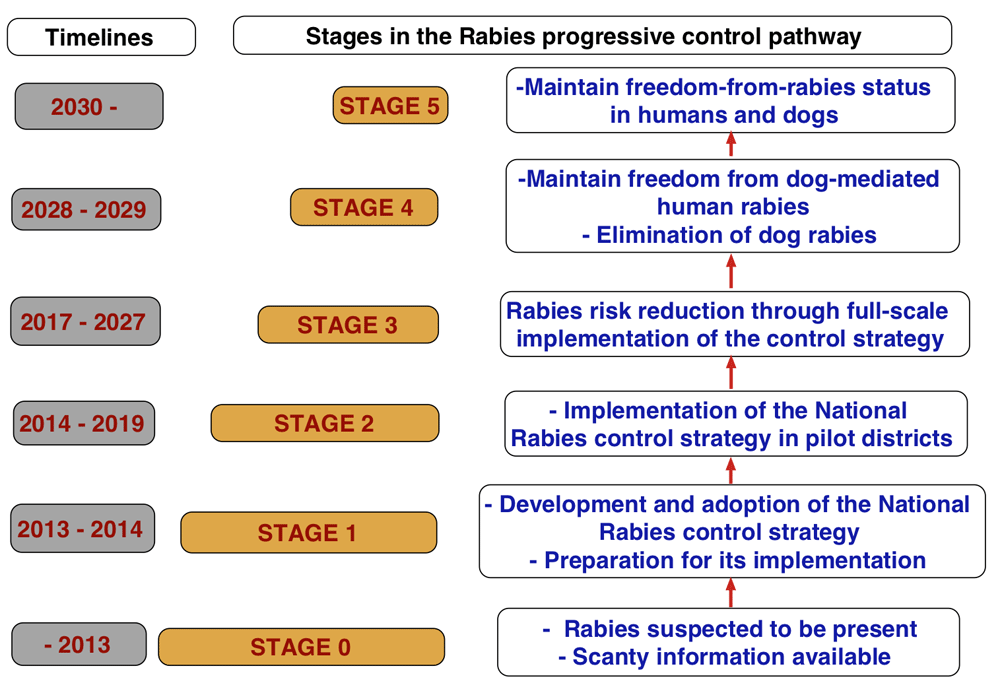 Rabies Virus Timeline